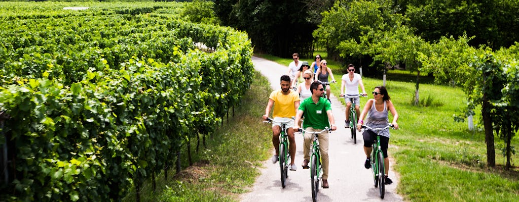 Wachauer Winery Bike Tour