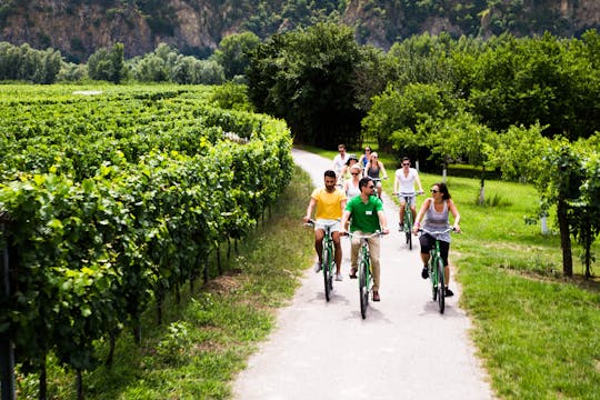 Wachau Winery Bike Tour