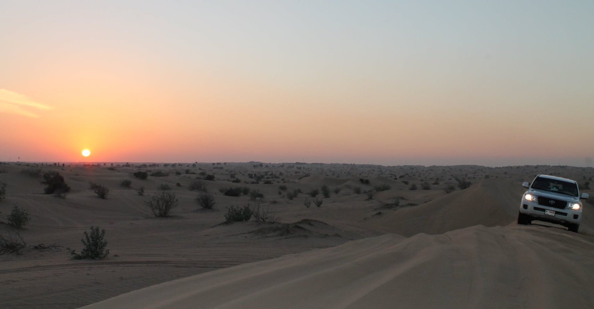 Safari dans le désert et dîner au départ d'Abu Dhabi