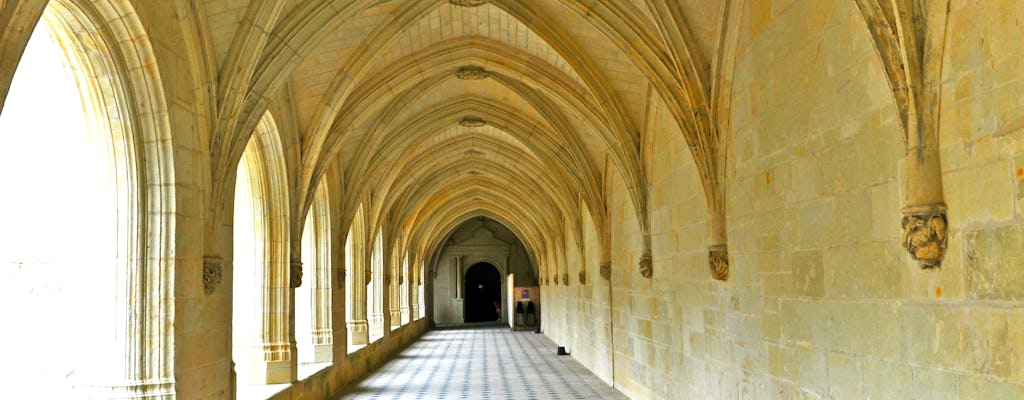 Visite de l'abbaye Notre-Dame de Fontevraud, le château de Chinon et dégustation de vins