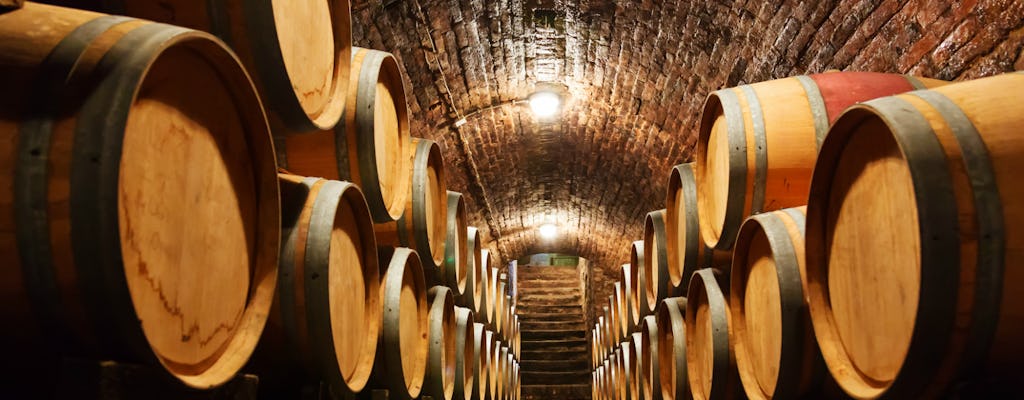 Cultura e vinho em Châteauneuf du Pape