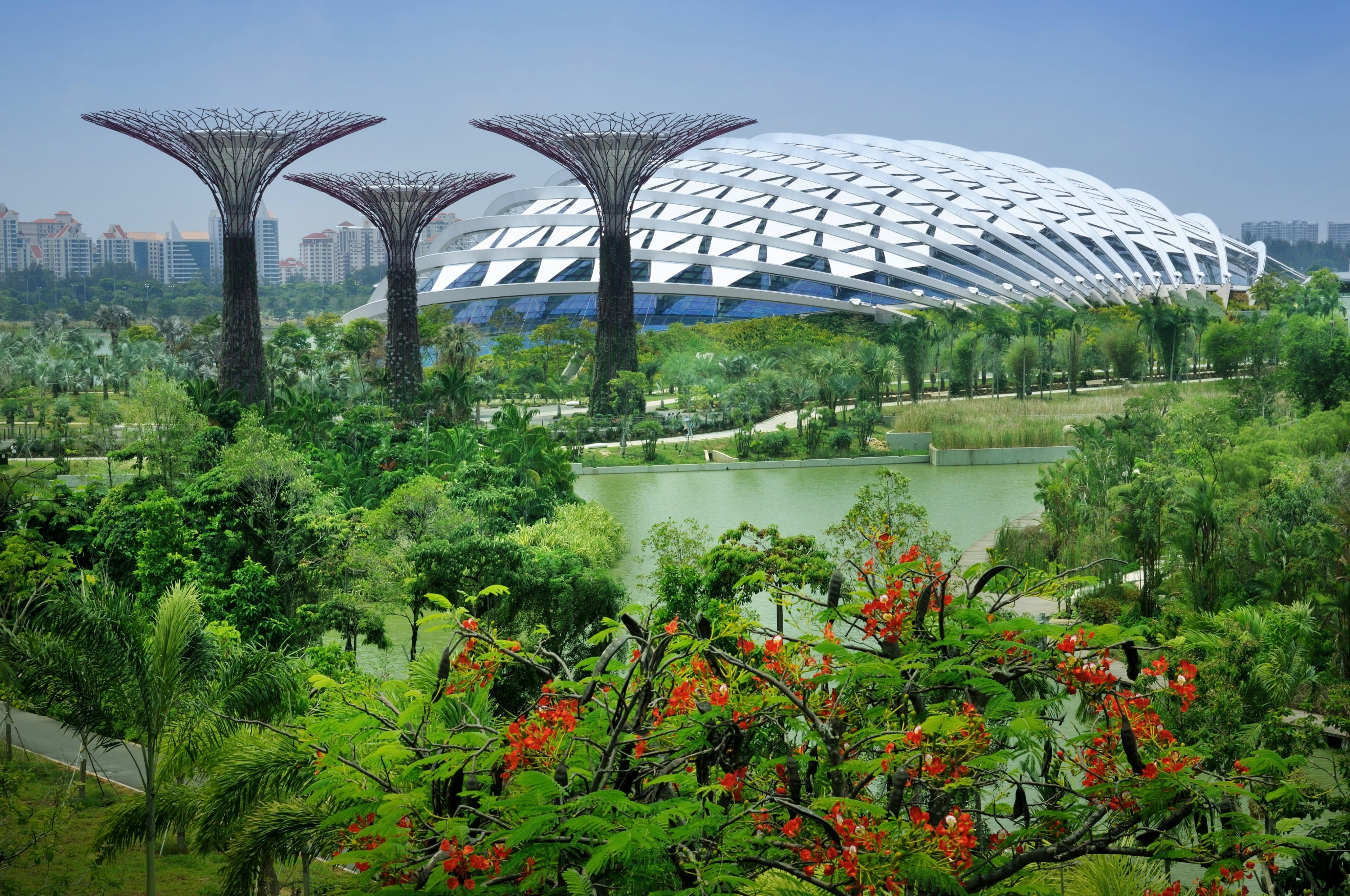 Qué Hacer En Singapur Atracciones Y Museos Musement