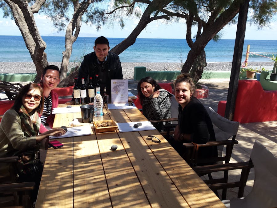 Visite guidée des vignobles d'Akrotiri et de Santorin