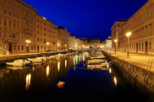 Tour privado em Trieste com guia local