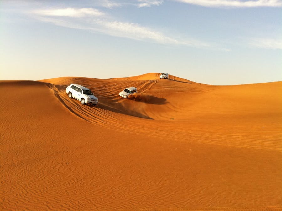 Dubai Desert Camp Experience und Dhow Cruise