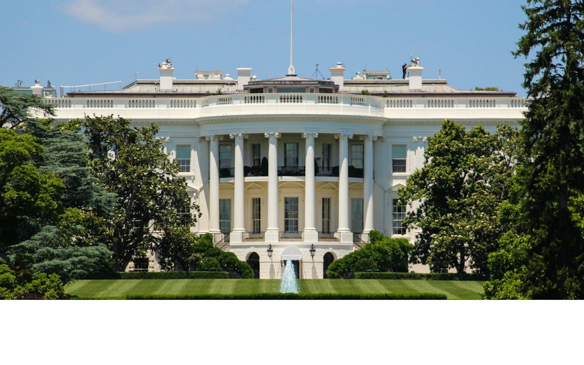 Tour di un giorno di Washington D.C. da New York City