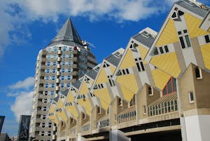 Walking Tours in Rotterdam