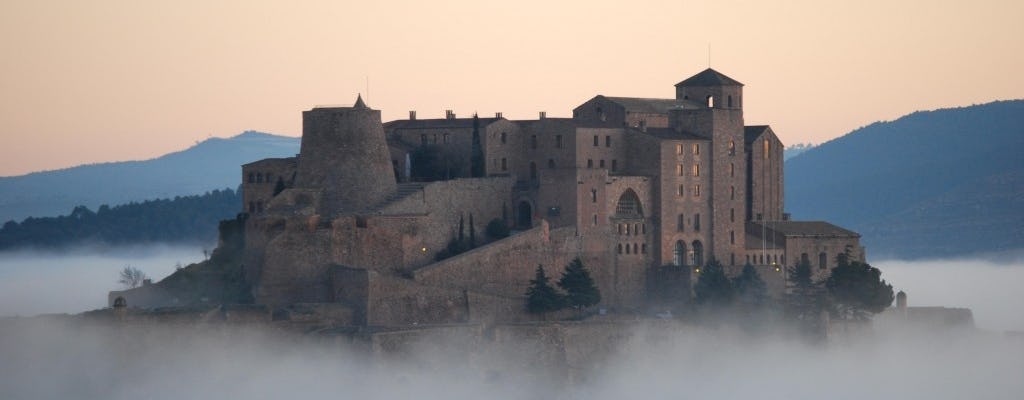 Tour guidato di Cardona e Salt Mountain da Barcellona