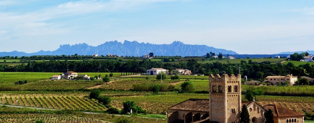 Visita guiada de metade de um dia por Montserrat com saída de Barcelona