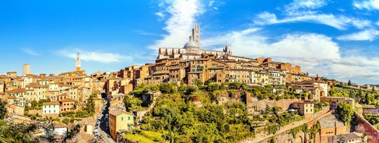 Chianti and Siena tour with dinner and wine tasting