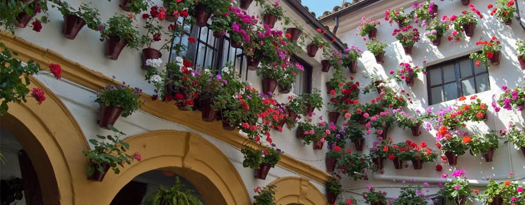 Visita guiada a los patios populares de Córdoba