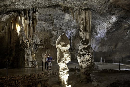 Visite de la grotte de Postojna et du château de Predjama au départ de Ljubljana