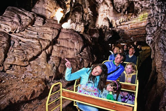 Dagexcursie naar het meer van Bled en de Postojna-grot vanuit Ljubljana