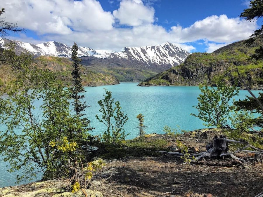 Wilderness hiking in Kenai National Wildlife Refuge