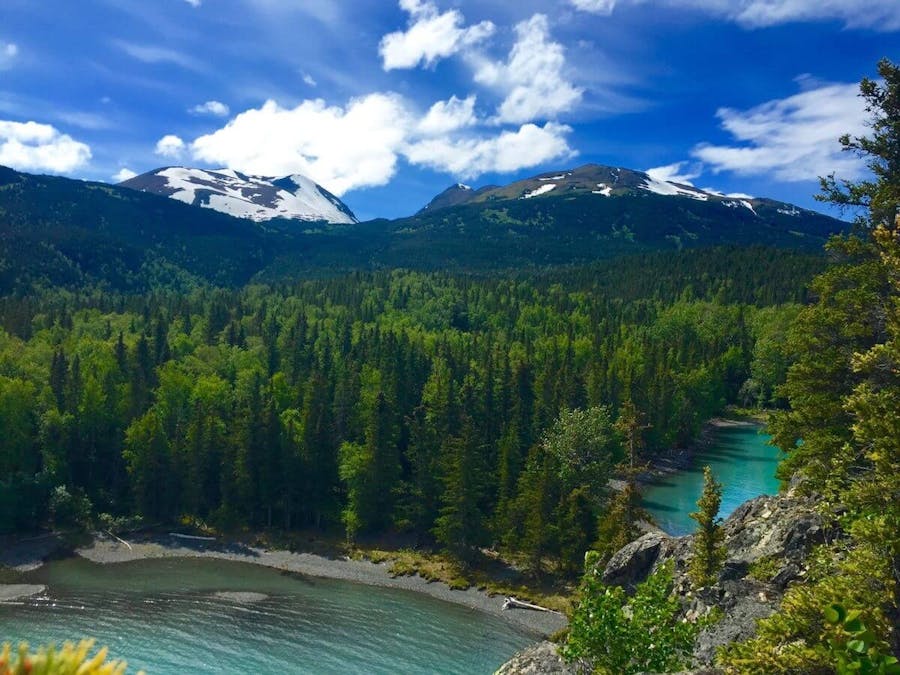 Seward wilderness hike with a guide