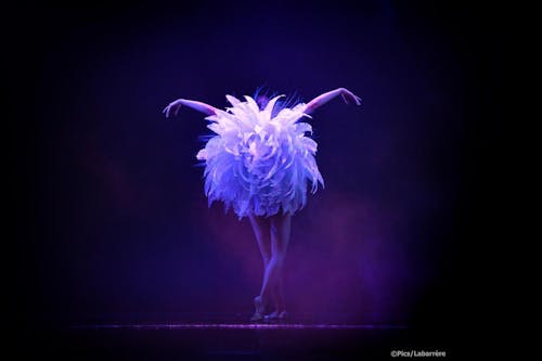 PLUME dinner-show at Lido Paris
