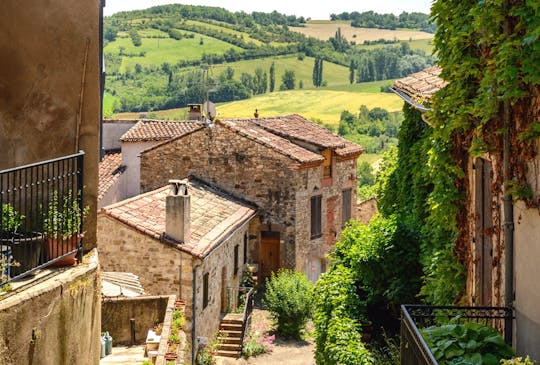 Wycieczka do Albi i Cordes Sur Ciel z Tuluzy