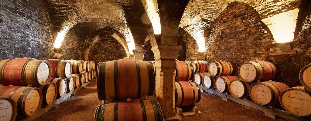 Tour del vino della Côte de Nuits in Borgogna