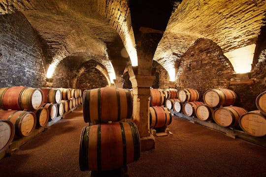 Ruta del vino Côte de Nuits en Borgoña