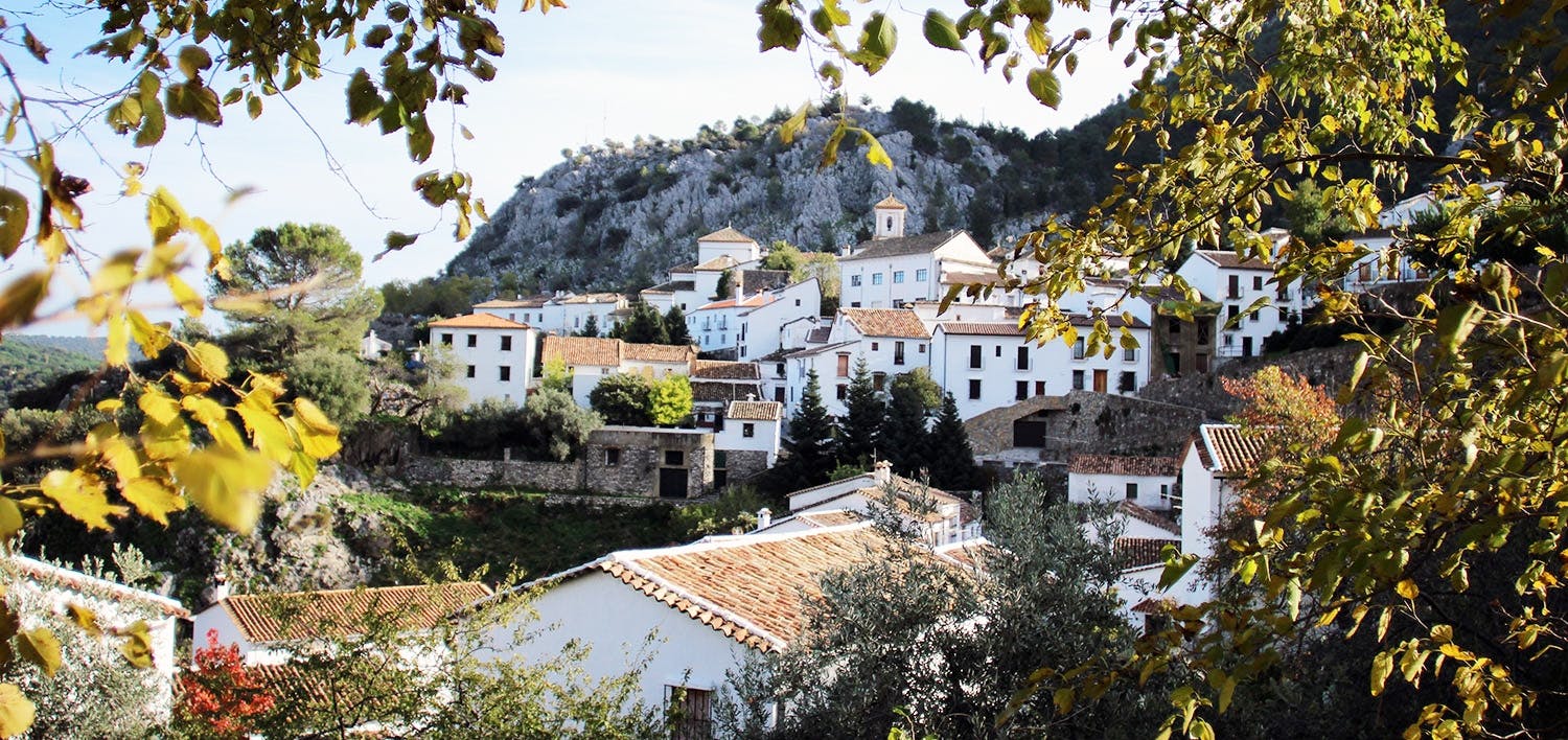 The white towns of Andalusia private day trip from Cádiz