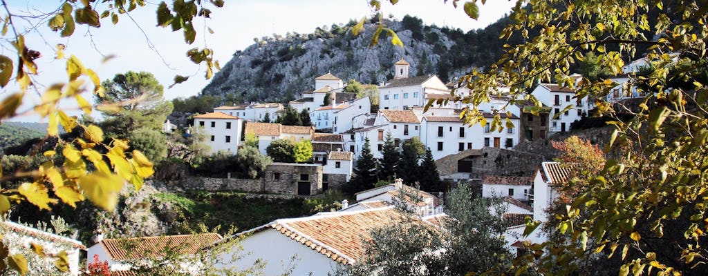 The white towns of Andalusia private day trip from Cádiz
