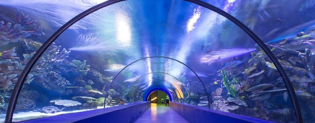 AquaRio - Acuario de Río de Janeiro