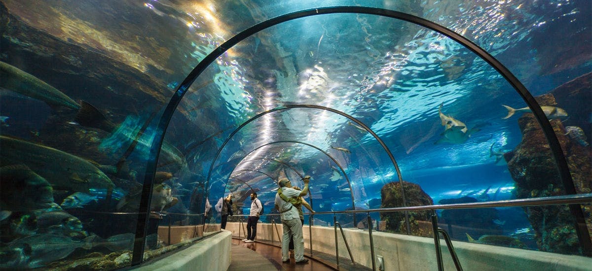 Aquarium di Barcellona