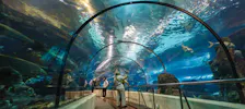 Barcelona Aquarium