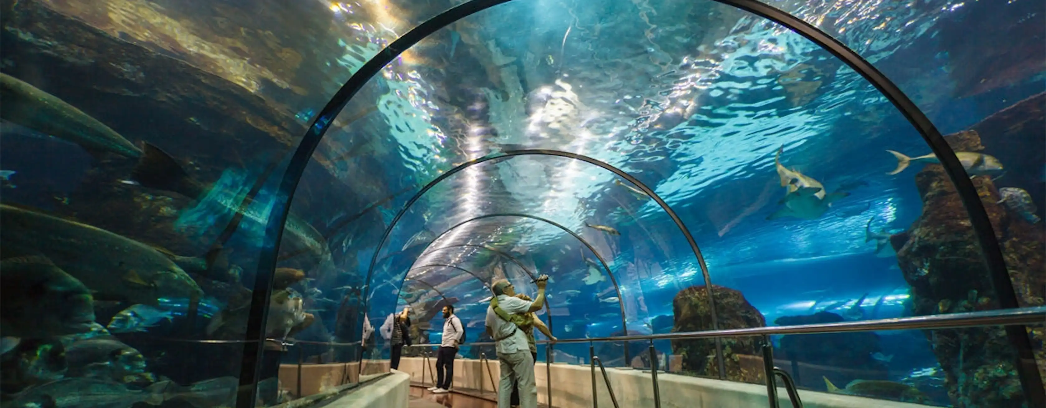Aquarium van Barcelona tickets en tours