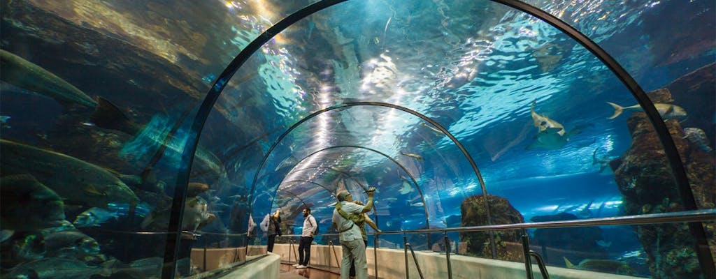 Aquarium di Barcellona