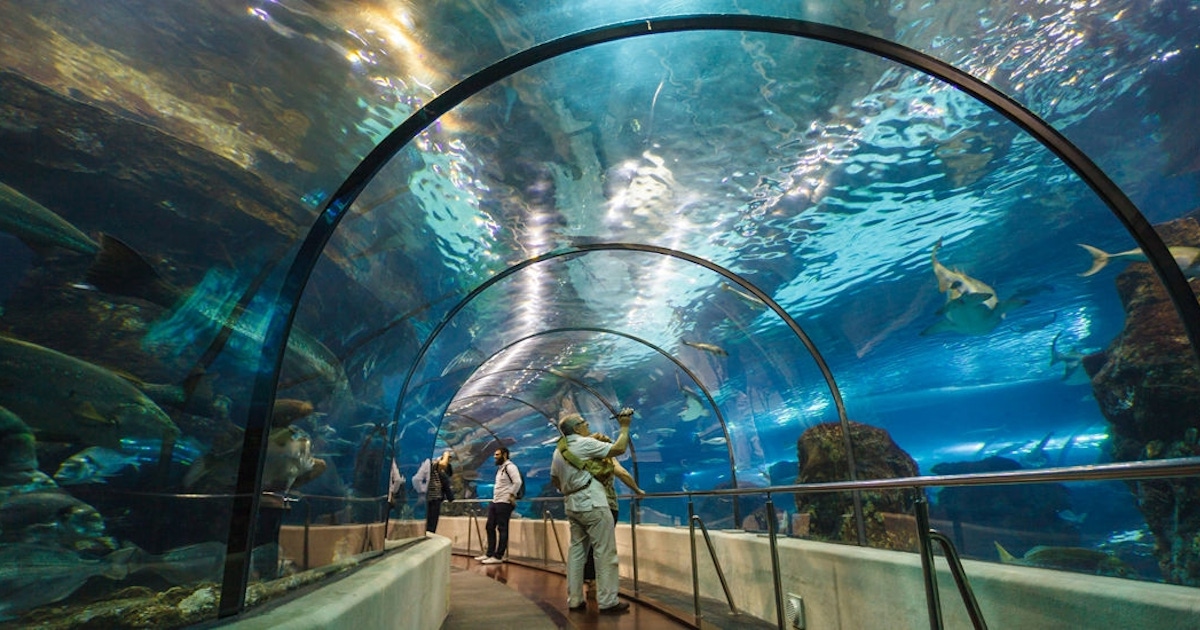 Barcelona Aquarium Tickets Barcelona Aquarium Tickets