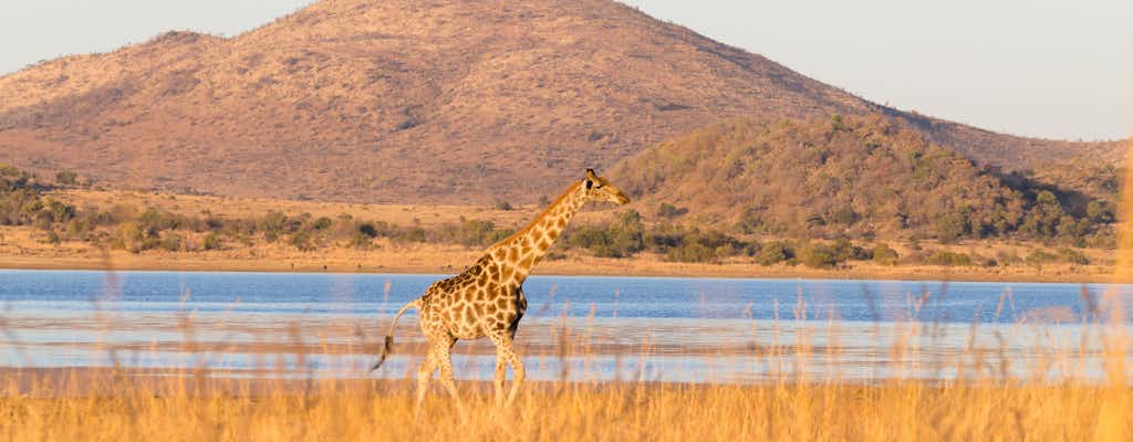 Park Narodowy Pilanesberg: bilety i wycieczki