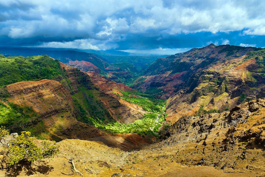Circuit Kauai Waimea Canyon et Wailua River