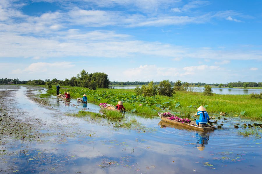 Private Mekong Delta full-day cruise