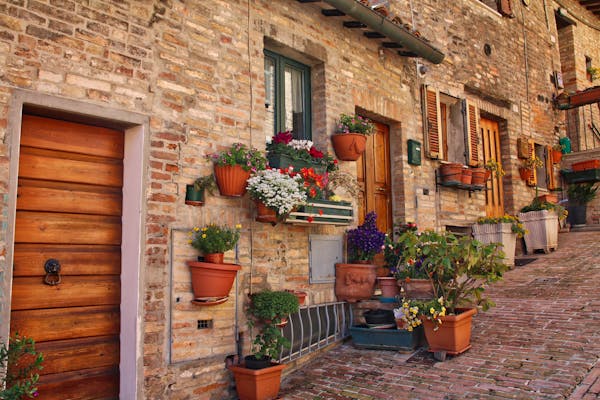 Urbino