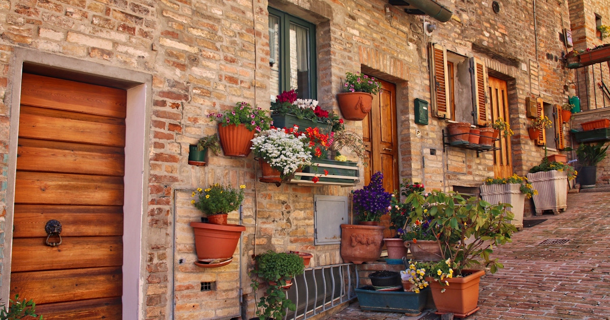 Things to do in Urbino : Museums and attractions