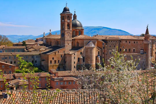 Private walking tour of Urbino with a local guide