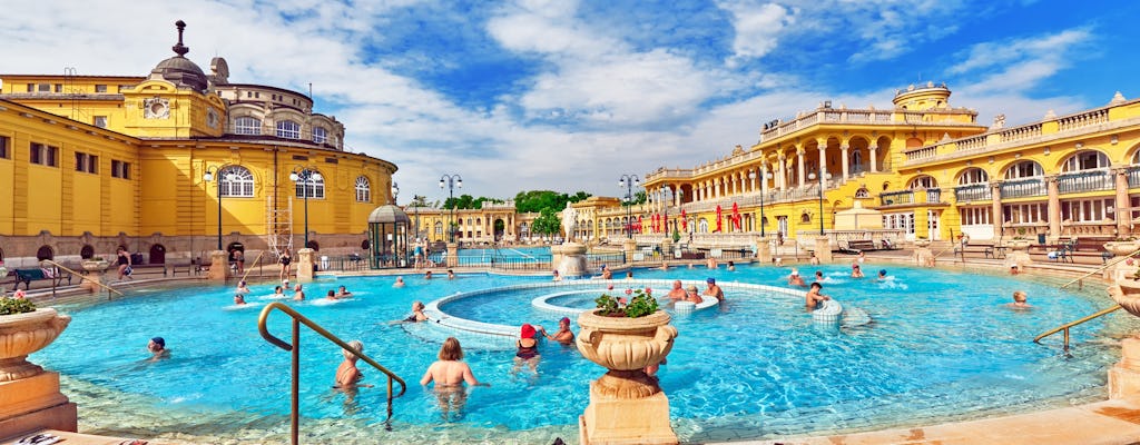 Billet d'entrée aux thermes Széchenyi de Budapest