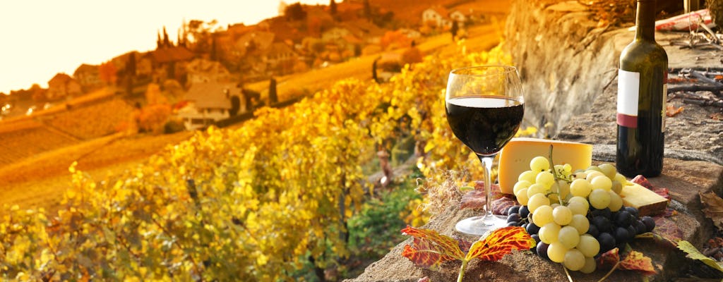 Visita do vinho Chianciano Evo e Montepulciano de Roma