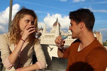 Wijn en cruise op de Donau met vervoer