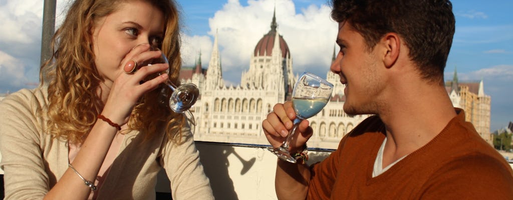 Wine and cruise on the Danube with transport