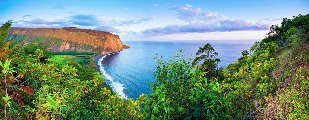 Entradas y visitas guiadas para Isla Grande de Hawái