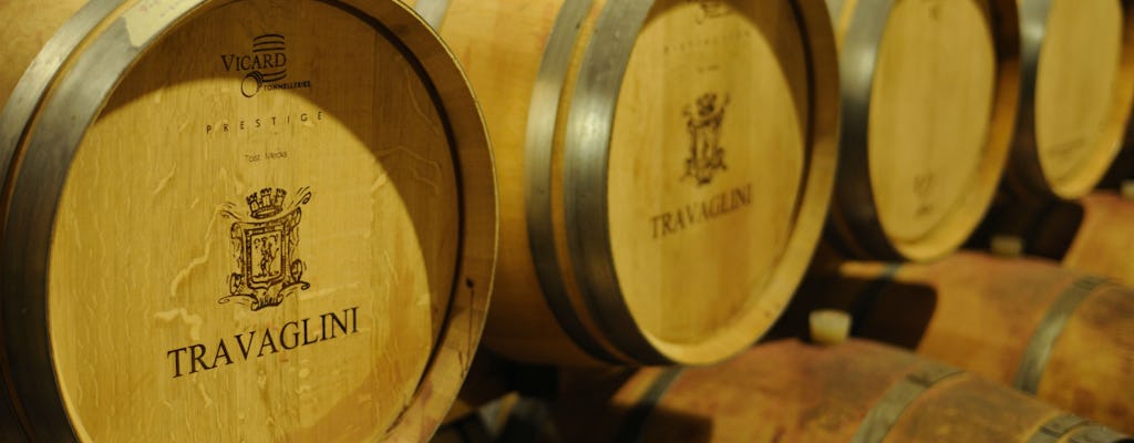 Dégustation de vins Gattinara dans le vignoble Travaglini