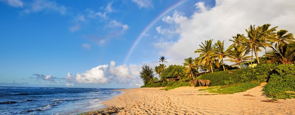 Oahu Grand Circle Island-dagtour met North Shore-stranden