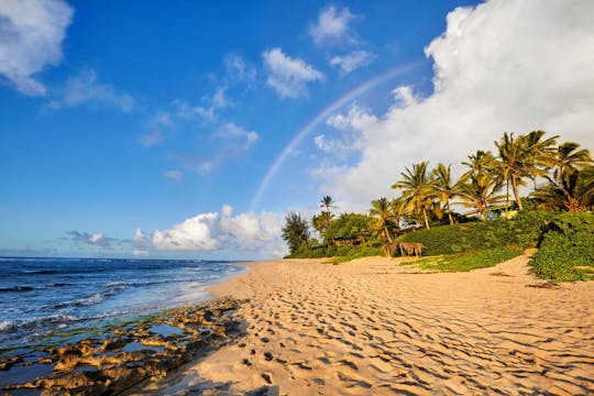 Excursion d'une journée à Oahu Grand Circle Island avec les plages de la côte nord