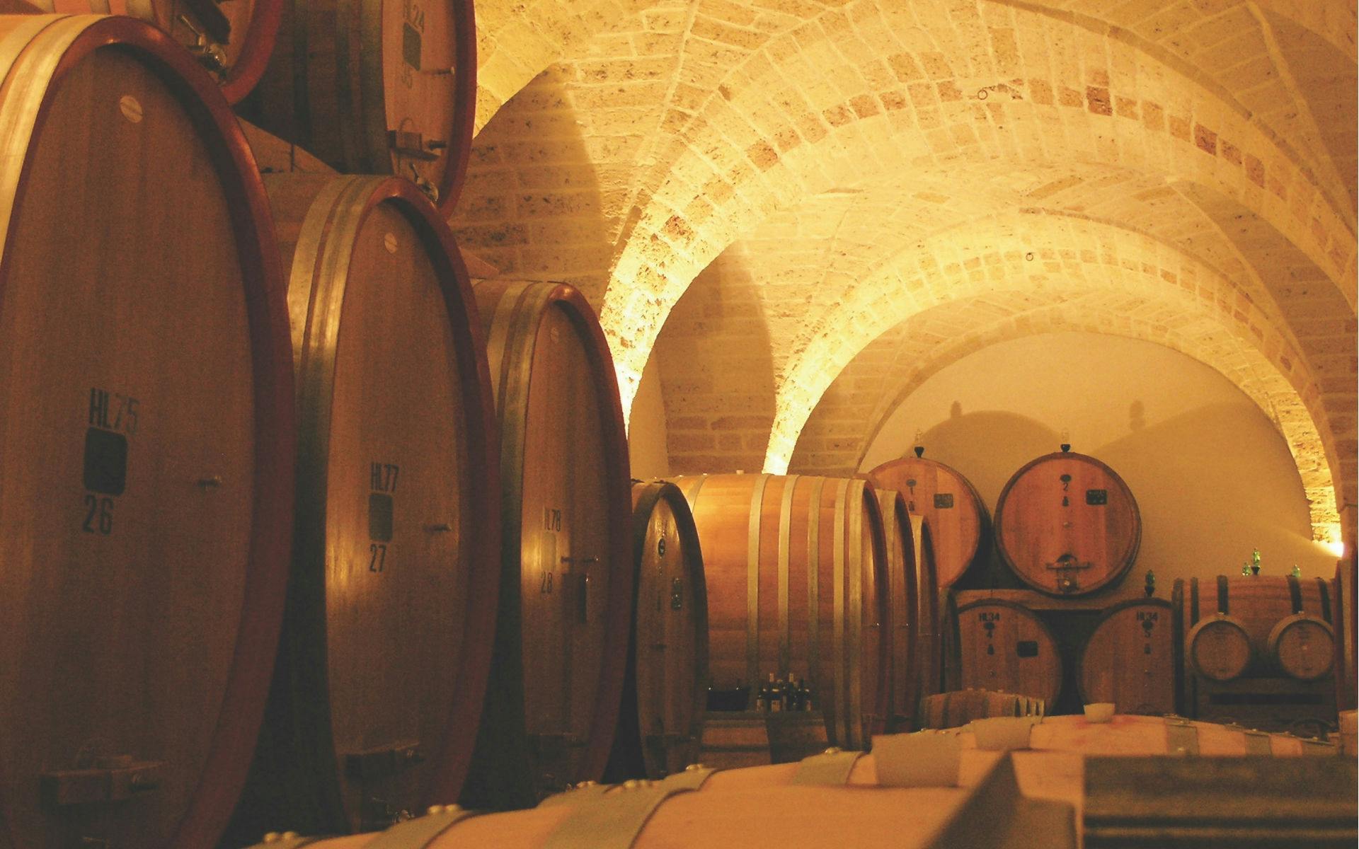 Visita E Degustazione Vini Del Salento Da Leone De Castris Musement