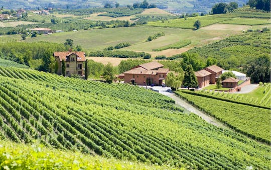 Dégustation de vins Barolo et Barbaresco entre Langhe et Roero