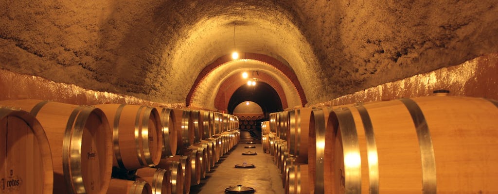 Wine experience with castles, medieval cities or cathedrals guided tour from Madrid