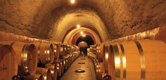 Experiencia vinícola con visita guiada a castillos, ciudades medievales o catedrales desde Madrid