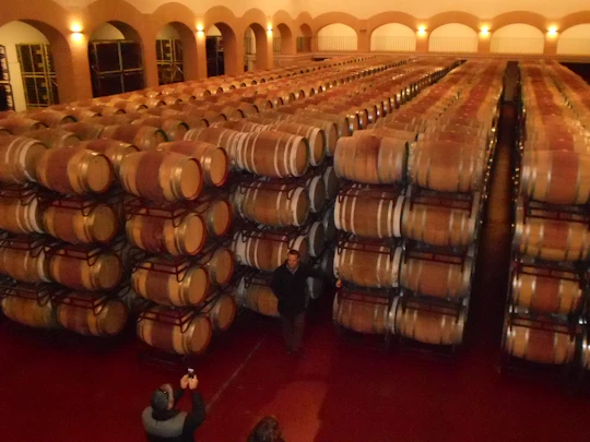 Ávila and Rueda wine tour from Madrid